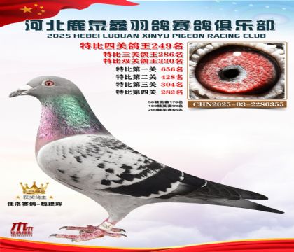 �ر��Ĺظ���249��