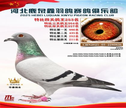 �ر��Ĺظ���253��