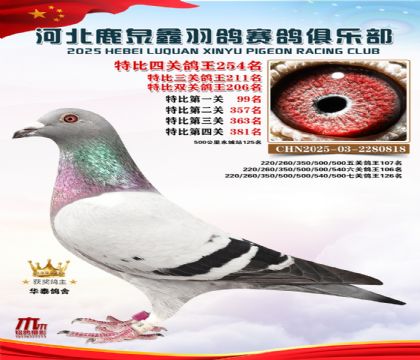 �ر��Ĺظ���254��