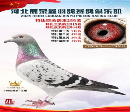 �ر��Ĺظ���255��