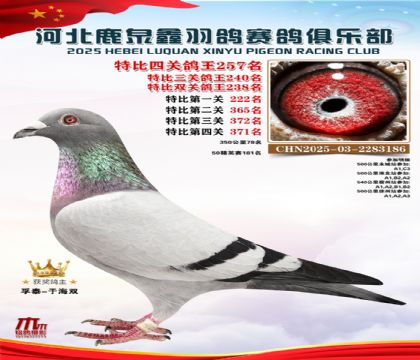 �ر��Ĺظ���257��