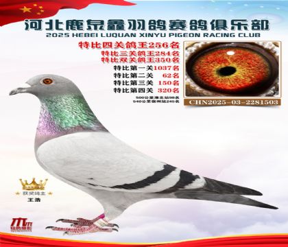 �ر��Ĺظ���256��