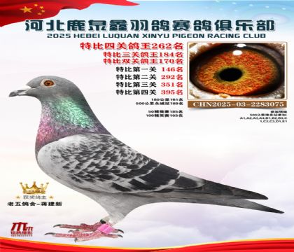 �ر��Ĺظ���262��