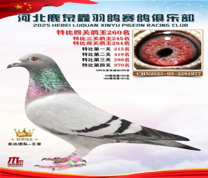 �ر��Ĺظ���260��