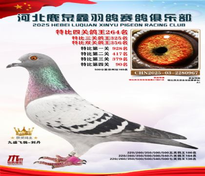 �ر��Ĺظ���264��