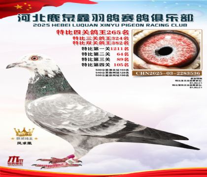 �ر��Ĺظ���265��