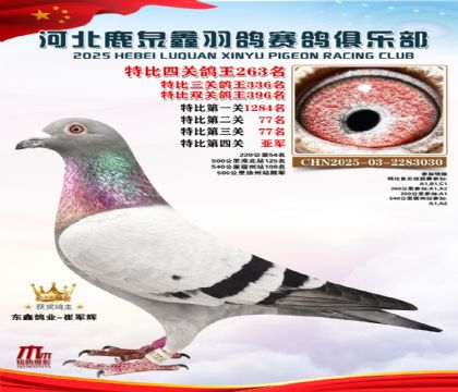 �ر��Ĺظ���263��