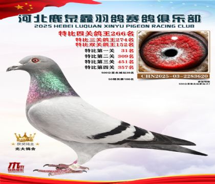 �ر��Ĺظ���266��