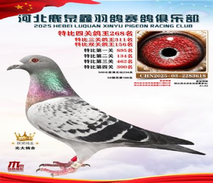 �ر��Ĺظ���268��