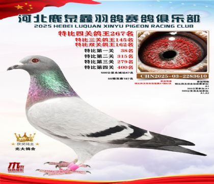 �ر��Ĺظ���267��