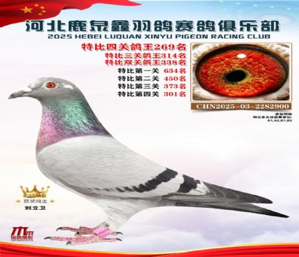 �ر��Ĺظ���269��