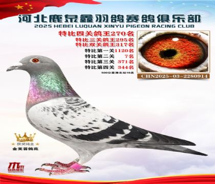 �ر��Ĺظ���270��