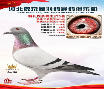 �ر��Ĺظ���275��