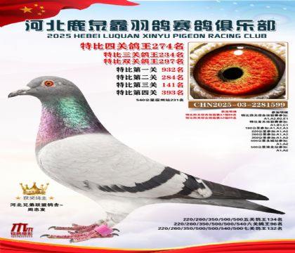 �ر��Ĺظ���274��