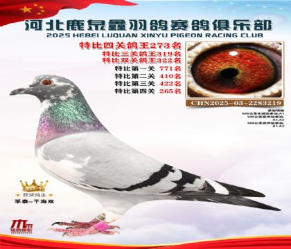 �ر��Ĺظ���273��