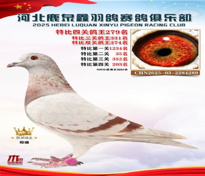 �ر��Ĺظ���279��