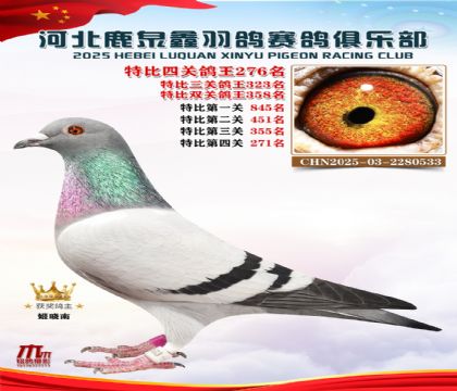 �ر��Ĺظ���276��