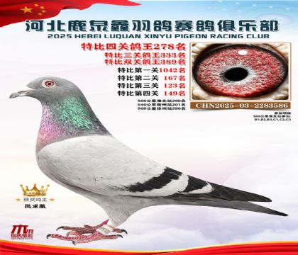 �ر��Ĺظ���278��