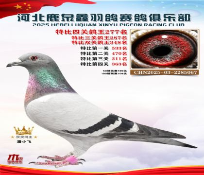 �ر��Ĺظ���277��