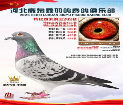 �ر��Ĺظ���282��