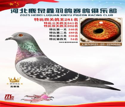 �ر��Ĺظ���281��