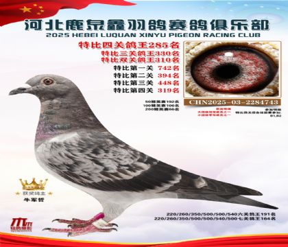 �ر��Ĺظ���285��