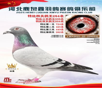 �ر��Ĺظ���284��