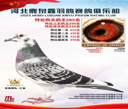 �ر��Ĺظ���283��