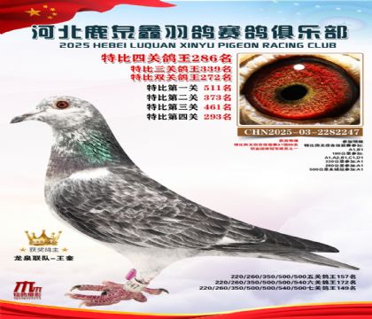 �ر��Ĺظ���286��