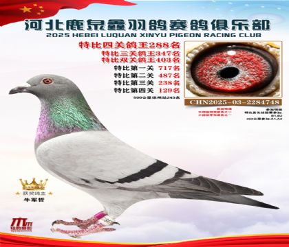 �ر��Ĺظ���288��