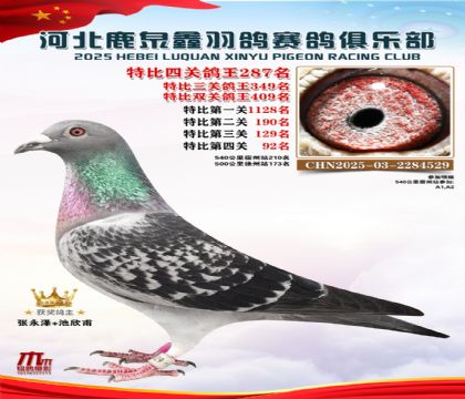 �ر��Ĺظ���287��