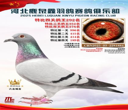 �ر��Ĺظ���292��