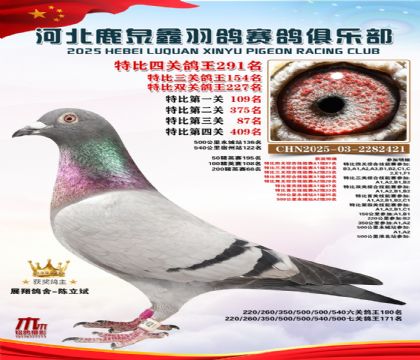 �ر��Ĺظ���291��