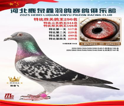 �ر��Ĺظ���290��