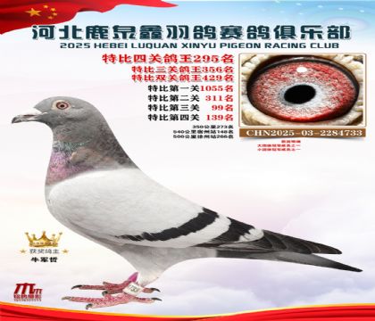 �ر��Ĺظ���295��