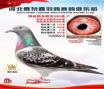 �ر��Ĺظ���293��_����