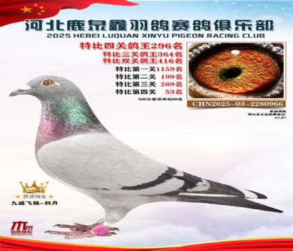 �ر��Ĺظ���296��