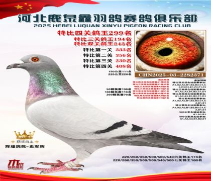 �ر��Ĺظ���299��