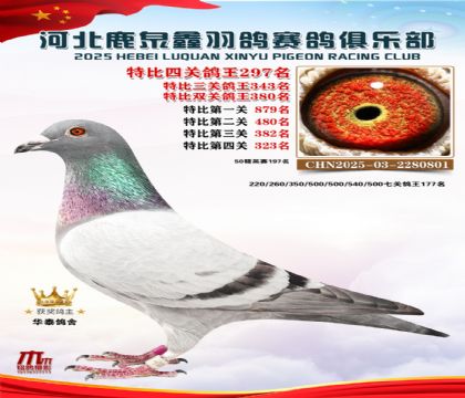 �ر��Ĺظ���297��