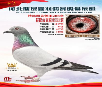 �ر��Ĺظ���298��