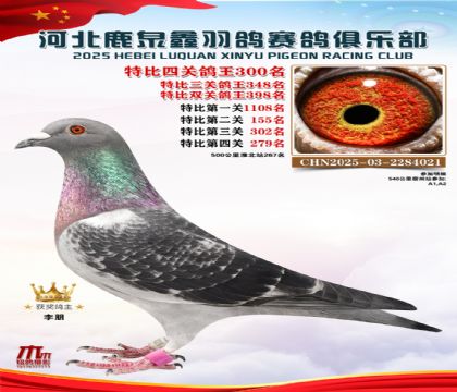 �ر��Ĺظ���300��