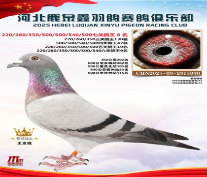 �߹ظ���6��