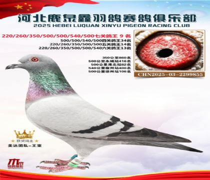 �߹ظ���9��