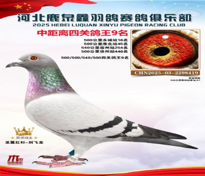 �о����Ĺظ���9��