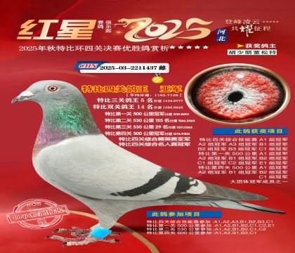 �����ر��Ĺظ����Ǿ�