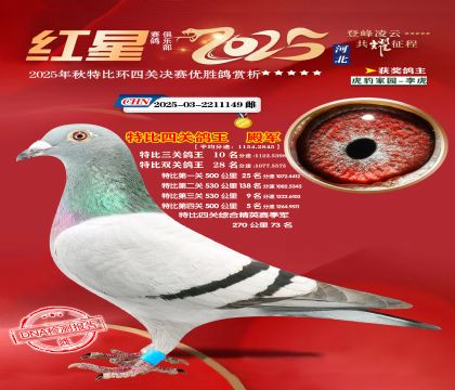 �����ر��Ĺظ���4��