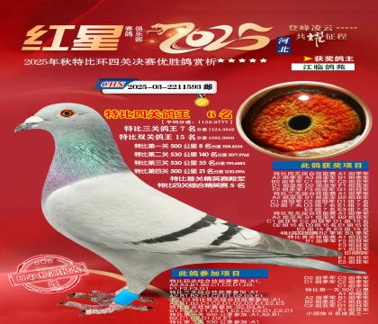 �����ر��Ĺظ���6��