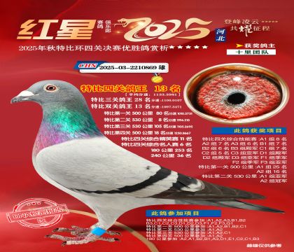 �����ر��Ĺظ���13��