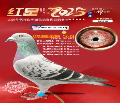 �����ر��Ĺظ���14��