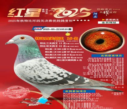 �����ر��Ĺظ���16��